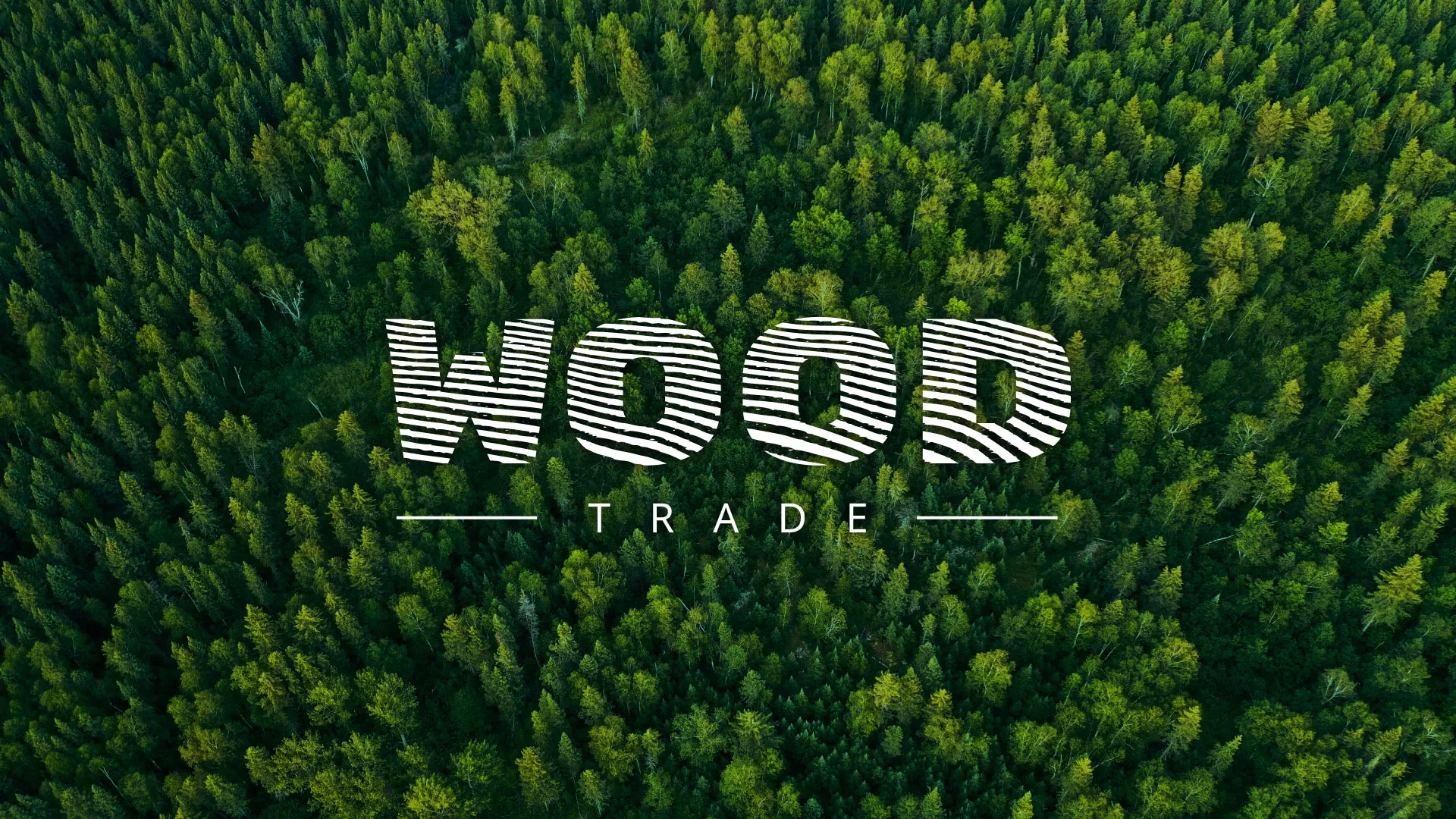 Разработка интернет-магазина компании «Wood Trade» в Ярославле